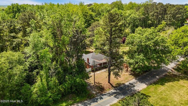 Mature trees on lot | Image 50