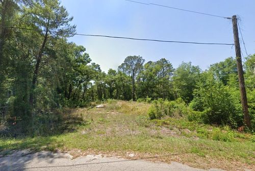 77 Bay Court Pass, Ocklawaha, FL, 32179-5602 | Card Image