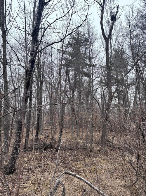 79xx Golf Estates Dr, Pequot Lakes, MN, 56472 | Card Image