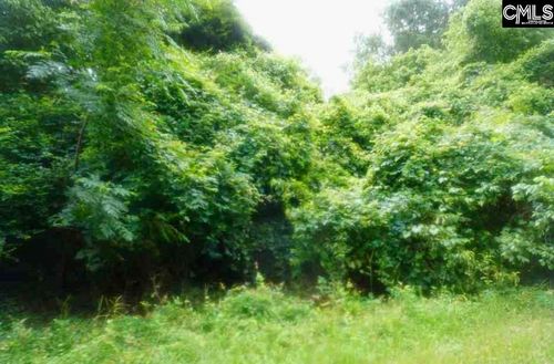 Fringetree Road Road, St. Matthews, SC, 29135 | Card Image