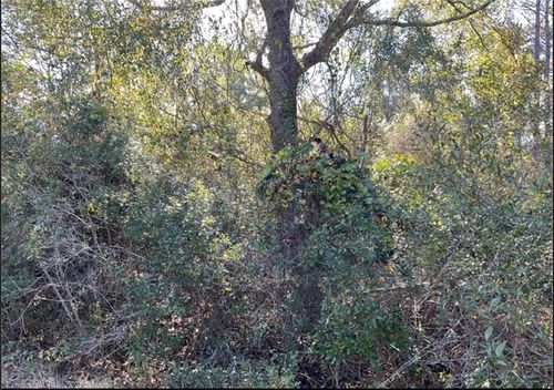 0 Quiesqueya Cir, Waycross, GA, 31503 | Card Image