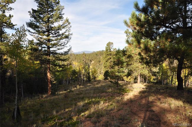 1299 Rangeview Rd, Home with 0 bedrooms, 0 bathrooms and null parking in Divide CO | Image 20