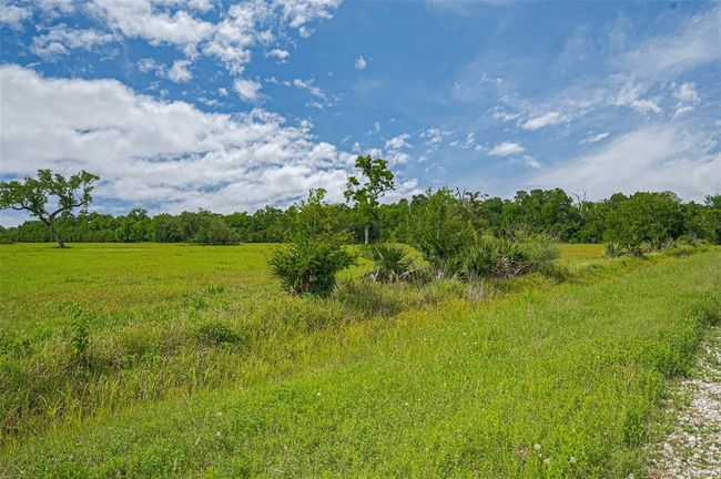 2015 Summers Rd, Home with 0 bedrooms, 0 bathrooms and null parking in Damon TX | Image 11