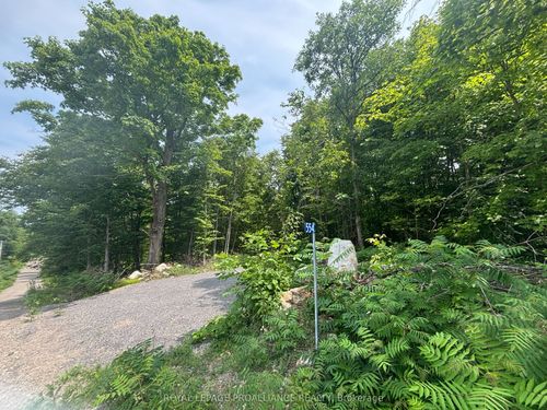 severed-b-554 Pigden Rd, Madoc, ON, K0K2K0 | Card Image