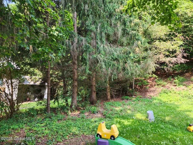 133 Main St, House other with 3 bedrooms, 1 bathrooms and 3 parking in Worcester NY | Image 29