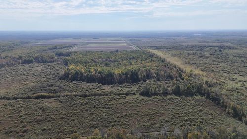 xxxx 460th Ln, Palisade, MN, 56469 | Card Image