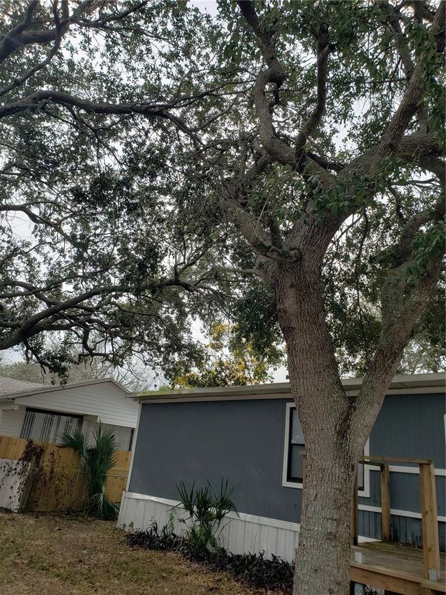 6997 Chestnut Dr, House other with 3 bedrooms, 2 bathrooms and null parking in Cocoa FL | Image 54