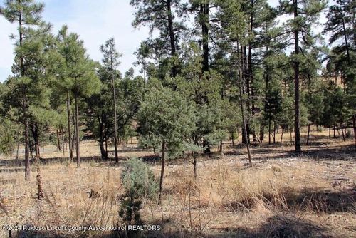 106108 State Highway 48, Alto, NM, 88312 | Card Image