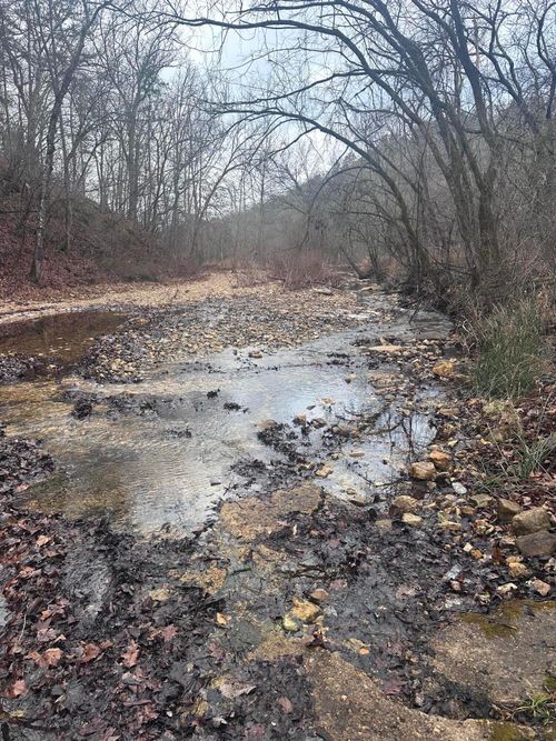 1007 County Road 166, Drury, MO, 65638 | Card Image