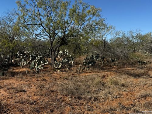 117 Cr 2644, Moore, TX, 78057 | Card Image