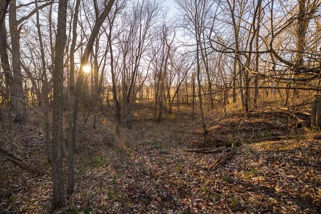 Tract 1 S Outer Belt Road, Home with 0 bedrooms, 0 bathrooms and null parking in Lone Jack MO | Image 28
