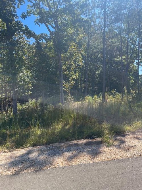0 Beach Bluff Ln, Huntingdon, TN, 38344 | Card Image