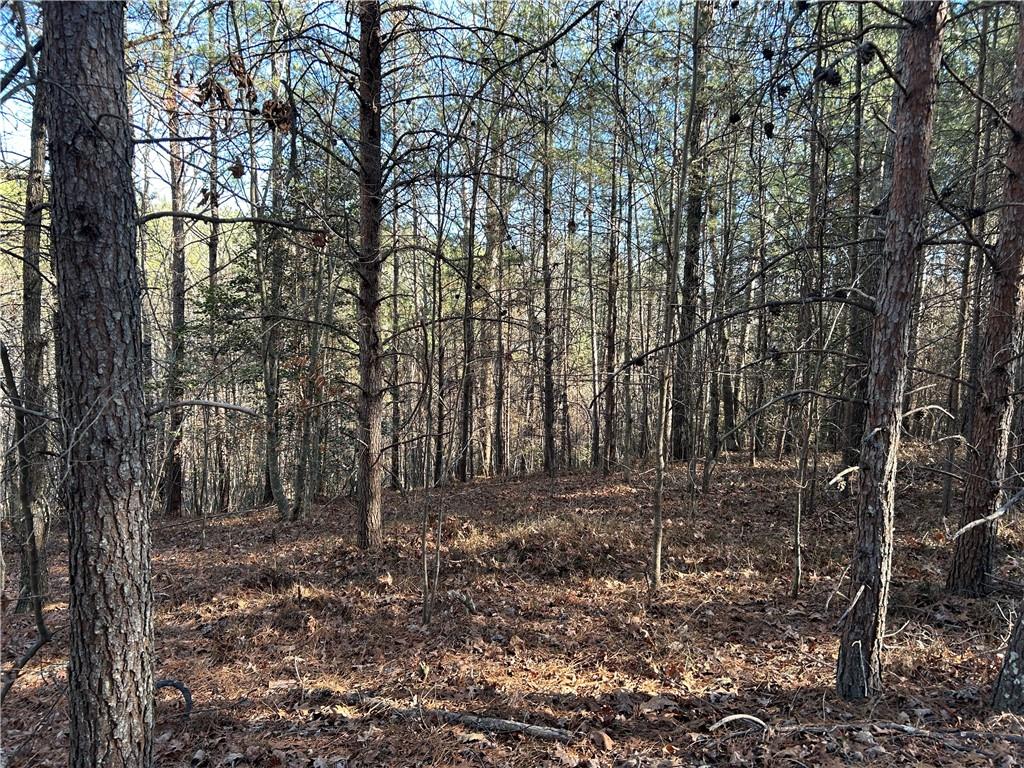 Land in Demorest 2