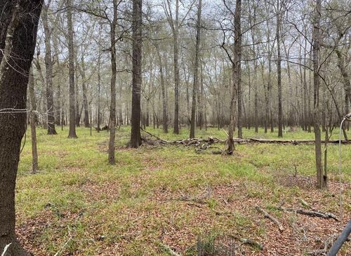 TBD County Road 112, Centerville, TX, 75833 | Card Image