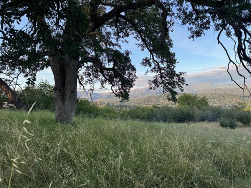 10 Old Oak Ln, Mariposa, CA, 95338 | Card Image