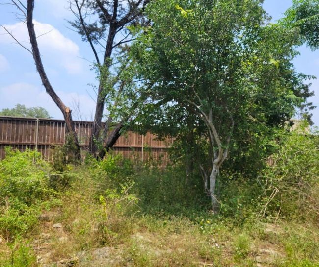 Different angle of lot | Image 9