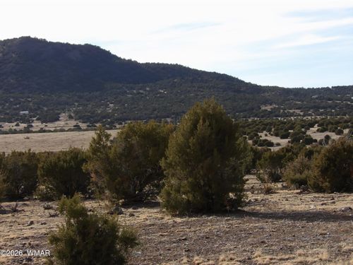 Lot 14D N3411, Vernon, AZ, 85940 | Card Image