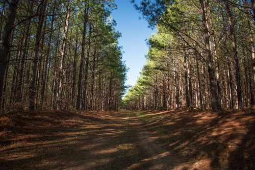 0 Mayfield Divide Rd, Centerville, TN, 37033 | Card Image