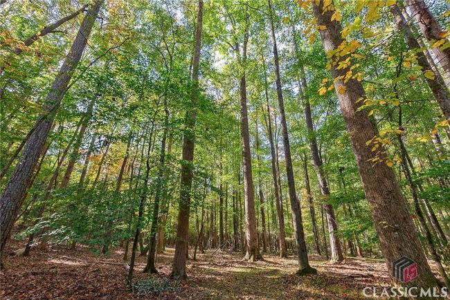 0 Bob Smith Rd, Home with 0 bedrooms, 0 bathrooms and null parking in Stephens GA | Image 17