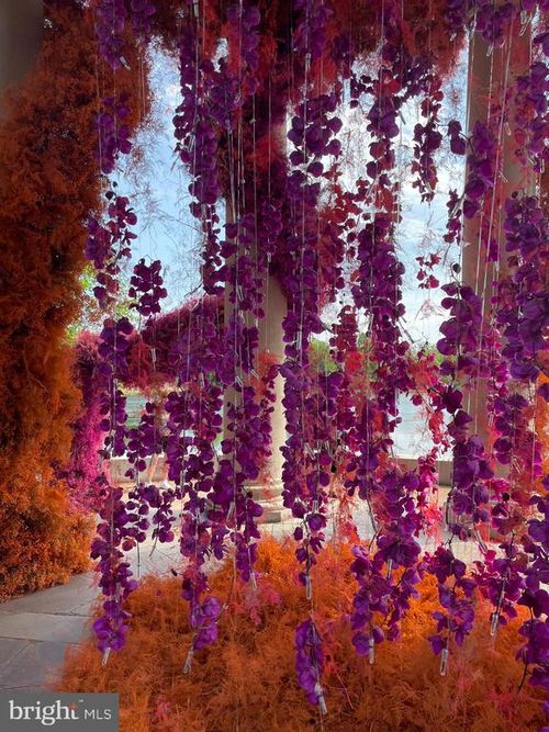 37 Florence Tollgate Pl, FLORENCE, NJ, 08518-3209 | Card Image