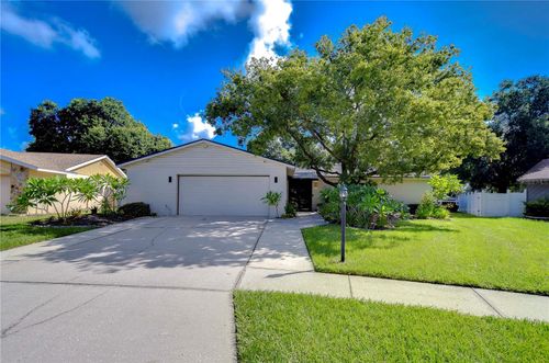 4008 Greenmark Lane, VALRICO, FL, 33596 | Card Image