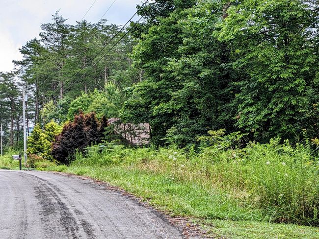 32 Lakeview Dr, Home with 0 bedrooms, 0 bathrooms and null parking in Turtletown TN | Image 6