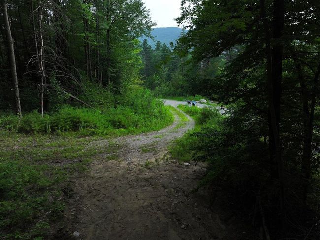 Lot 4 Piney Grove Ln, Home with 0 bedrooms, 0 bathrooms and null parking in Underhill VT | Image 5