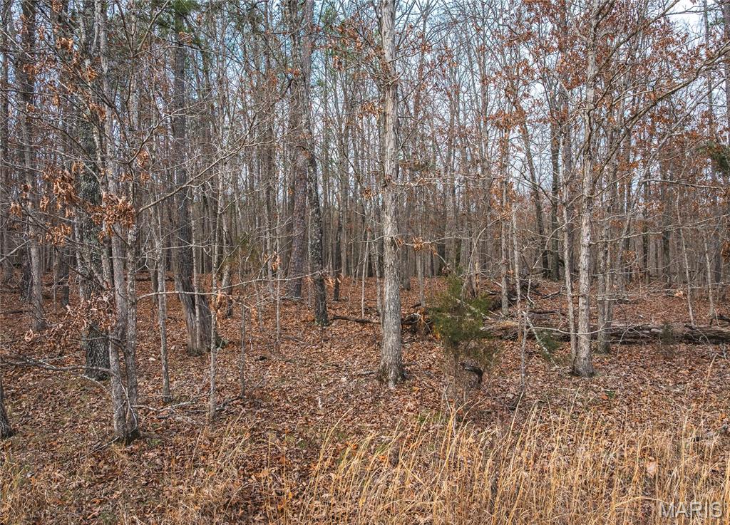 Land in Raymondville 4