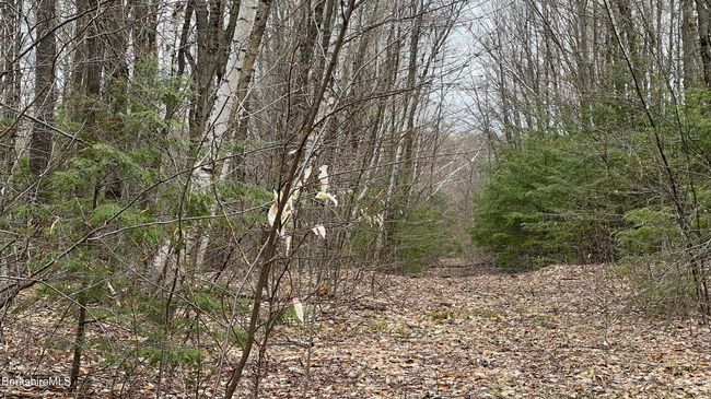 19 Skyline Rdg, Home with 0 bedrooms, 0 bathrooms and null parking in Becket MA | Image 6