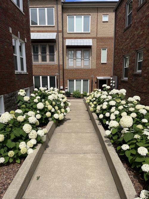 6-2003 Convent Pl, Nashville, TN, 37212-4234 | Card Image