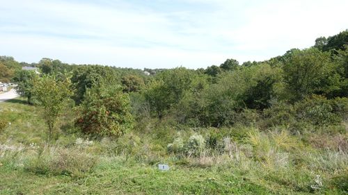 374 S Emory Creek Rd, Branson, MO, 65616-8711 | Card Image