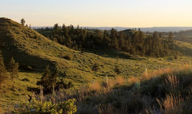 SC-28 - TBD Lone Rock Canyon Lane, Home with 0 bedrooms, 0 bathrooms and null parking in Hysham MT | Image 4