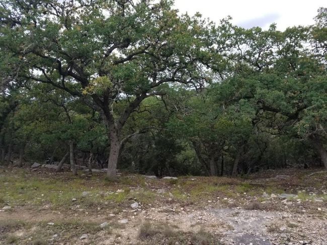 200 River Bend Rd, Home with 0 bedrooms, 0 bathrooms and null parking in Hunt TX | Image 8