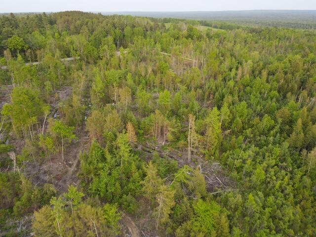 Land in Sebec 5