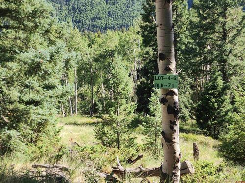 71 Lots 4-6, Jasper, CO, 81144 | Card Image