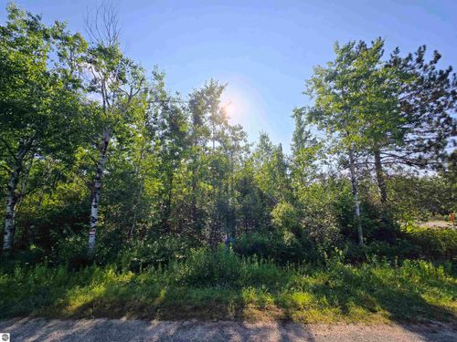 364 Pencil Lake Rd, Elmira, MI, 49730 | Card Image