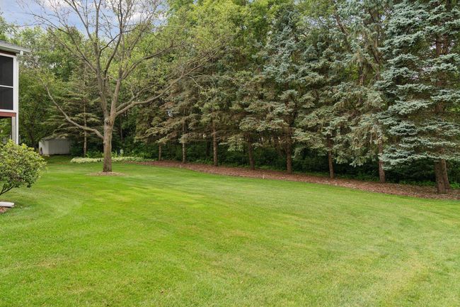 Lush green backyard | Image 13