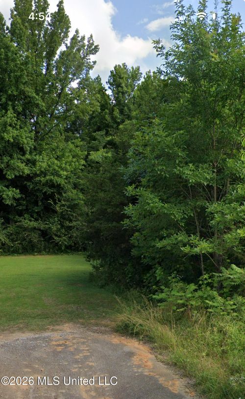 272 Cedar Ridge Dr, Ecru, MS, 38841-9505 | Card Image