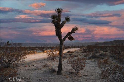 6130 Old Chisholm Trl, Joshua Tree, CA, 92252 | Card Image