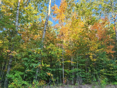 Lot 228 N Donnybrook, Frederic, MI, 49733 | Card Image