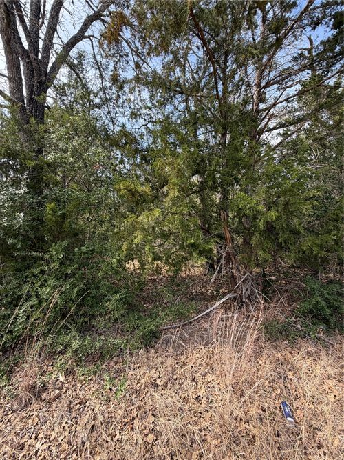 Lot 20 Flint Ridge St, Bastrop, TX, 78602 | Card Image