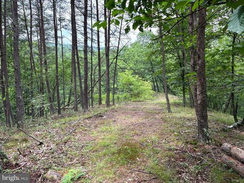 Lot 126 Bluffs Blue Beach Road, Springfield, WV, 26763 | Card Image