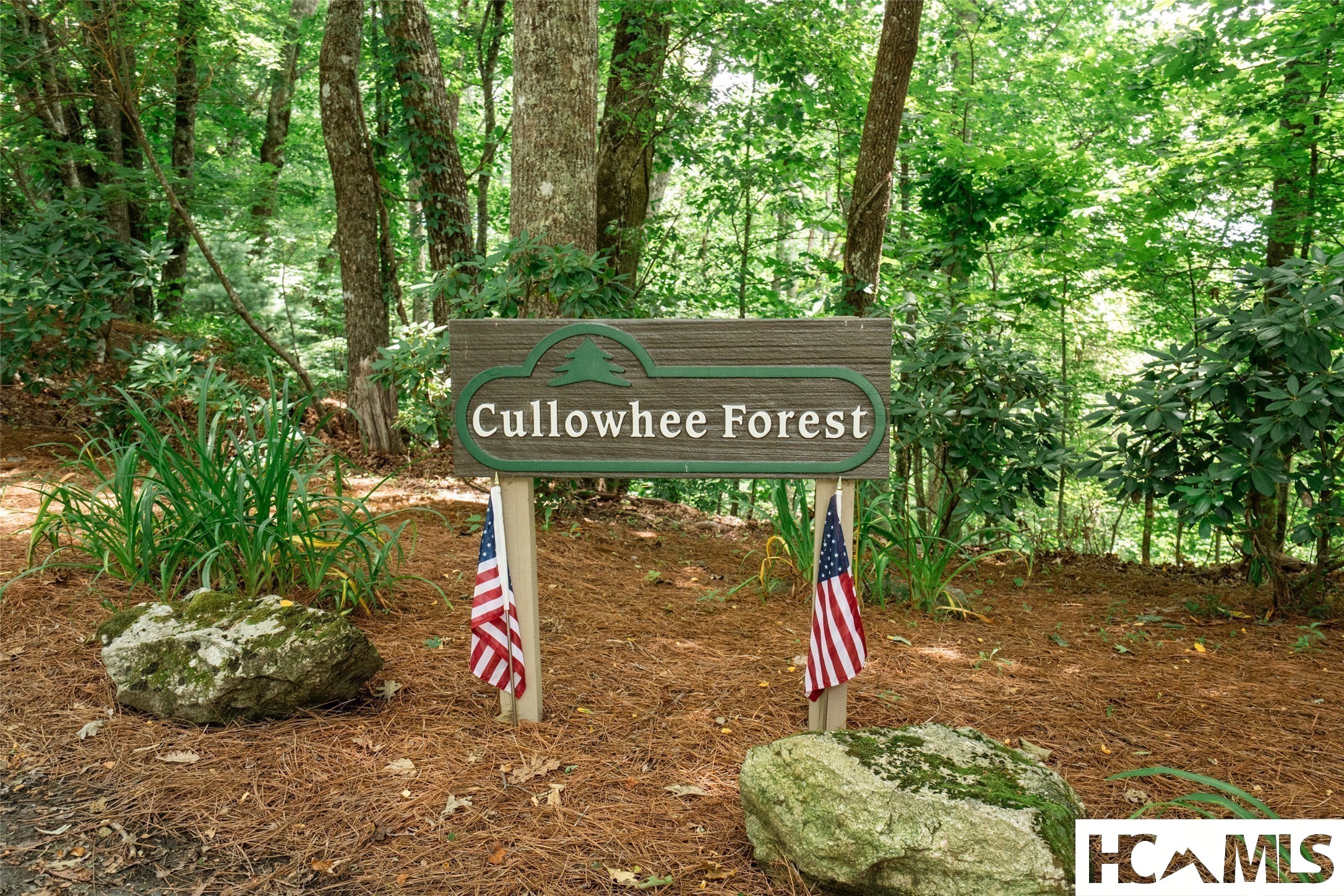 Land in Cullowhee 3