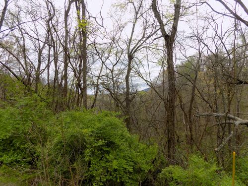 67 Alpha Road, Newport, TN, 37821 | Card Image
