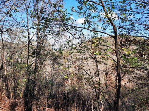 000 S Ar 9 Hwy, Mountain View, AR, 72560 | Card Image