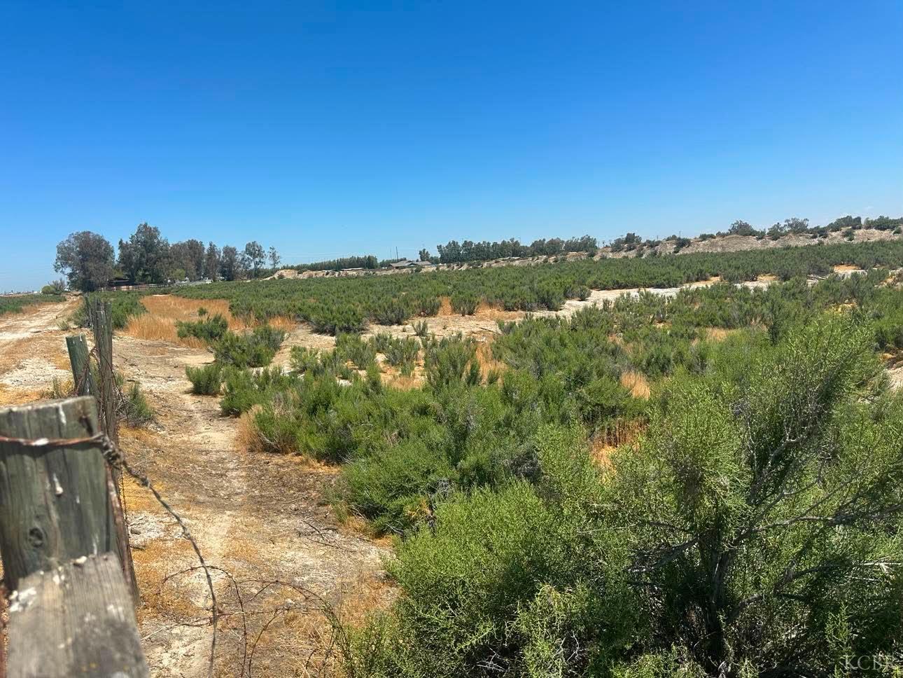 Land in Lemoore 5
