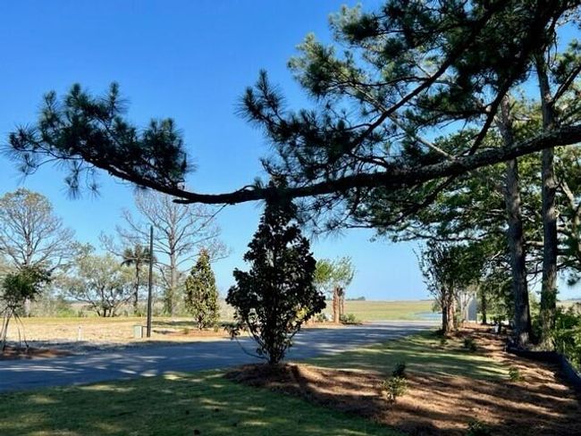 View of Copahee Sound | Image 47