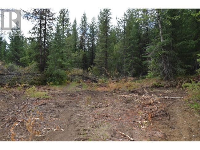Lot 2 3 Rd St, Home with 0 bedrooms, 0 bathrooms and null parking in Kootenay Boundary BC | Image 11