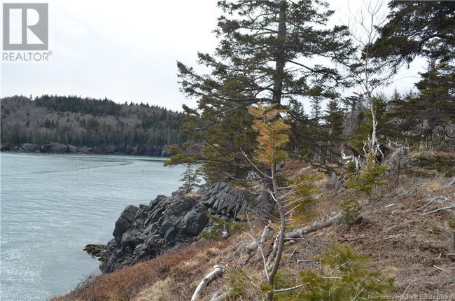 64 Fundy Dr, Home with 0 bedrooms, 0 bathrooms and null parking in Welshpool NB | Image 4