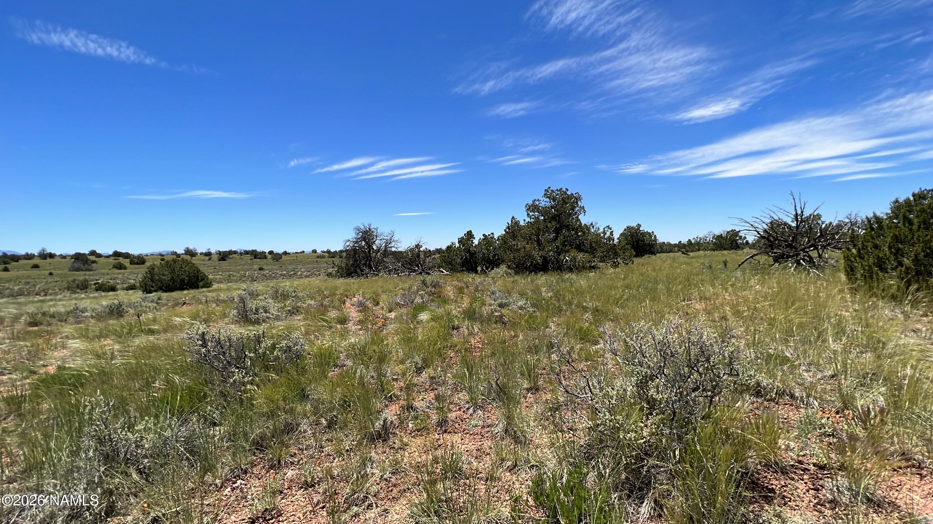 Land in Williams 3